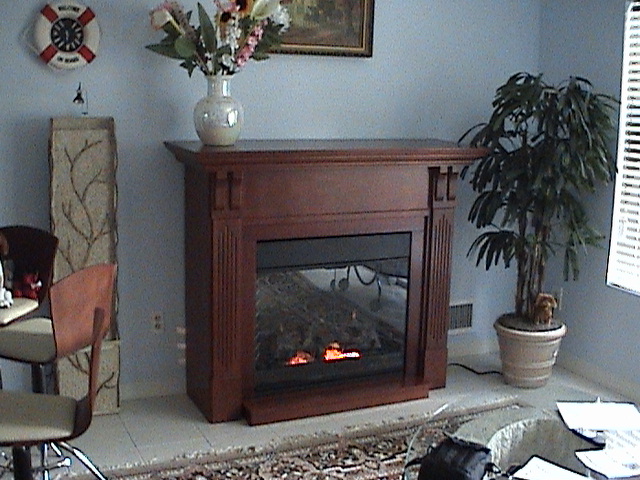 Electric Fireplace